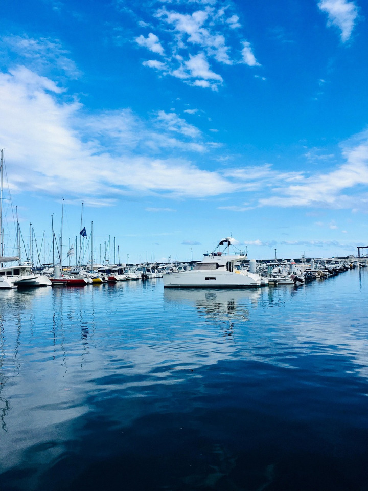 alumni reunion group campus